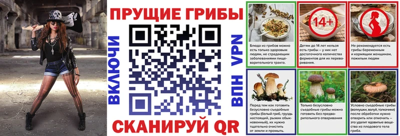 Псилоцибиновые грибы Cubensis  Нефтекамск 